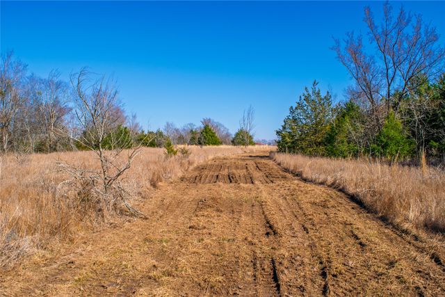 TBD Fm Rd 2965, Wills Point, TX 75169