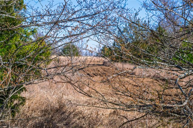 TBD Fm Rd 2965, Wills Point, TX 75169