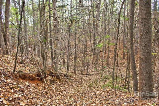 0 Clearwater Parkway 14, Rutherfordton, NC 28139