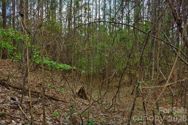 0 Clearwater Parkway 14, Rutherfordton, NC 28139