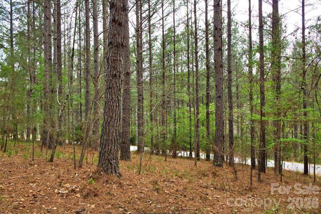 0 Clearwater Parkway 14, Rutherfordton, NC 28139