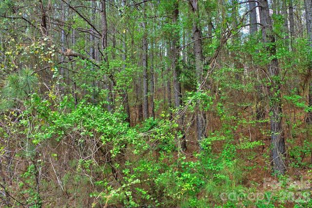 0 Clearwater Parkway 14, Rutherfordton, NC 28139