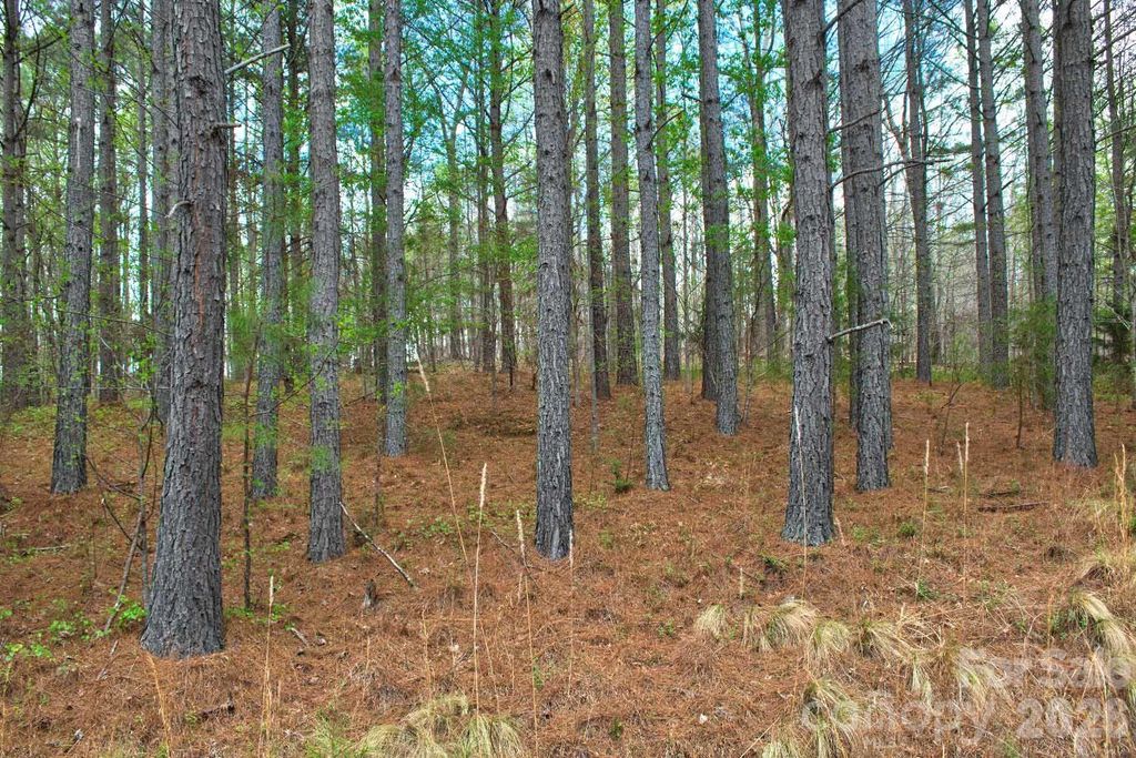 0 Clearwater Parkway 14, Rutherfordton, NC 28139