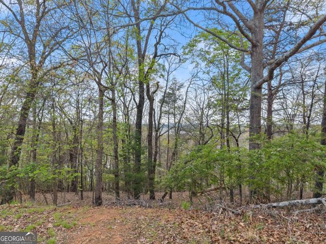 2528 Thompson Ovlk, Gainesville, GA 30506