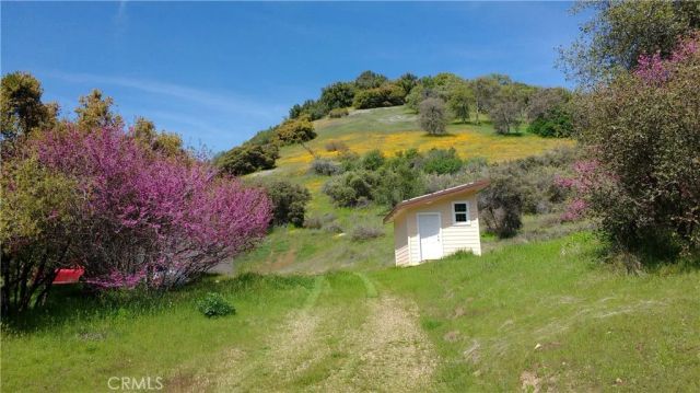 44981 Todd Eymann Road, Miramonte, CA 93641