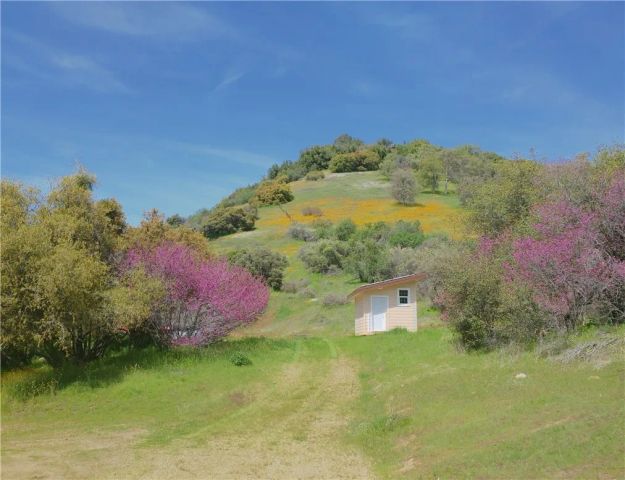 44981 Todd Eymann Road, Miramonte, CA 93641