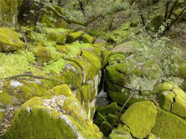 44981 Todd Eymann Road, Miramonte, CA 93641