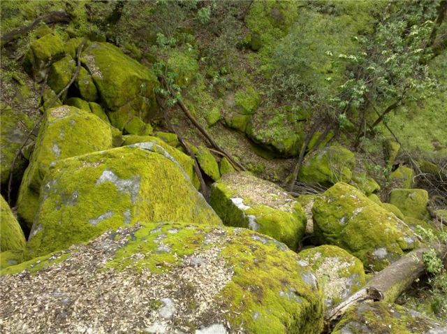 44981 Todd Eymann Road, Miramonte, CA 93641