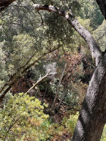 44981 Todd Eymann Road, Miramonte, CA 93641