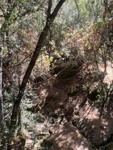 44981 Todd Eymann Road, Miramonte, CA 93641