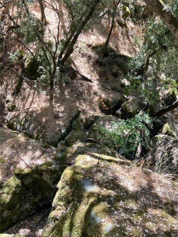 44981 Todd Eymann Road, Miramonte, CA 93641