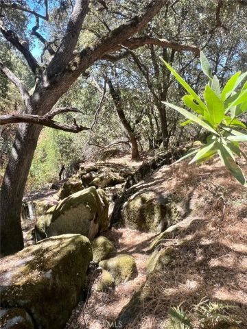 44981 Todd Eymann Road, Miramonte, CA 93641