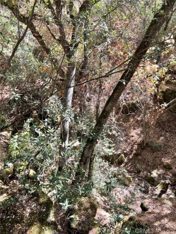 44981 Todd Eymann Road, Miramonte, CA 93641