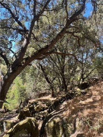 44981 Todd Eymann Road, Miramonte, CA 93641