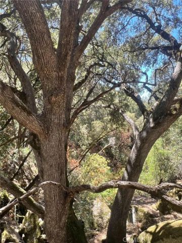 44981 Todd Eymann Road, Miramonte, CA 93641