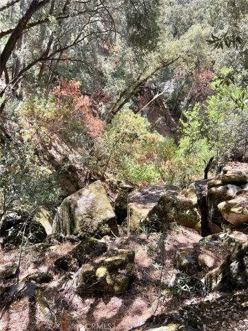 44981 Todd Eymann Road, Miramonte, CA 93641