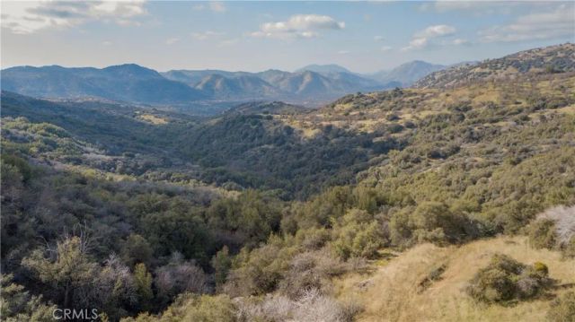 44981 Todd Eymann Road, Miramonte, CA 93641