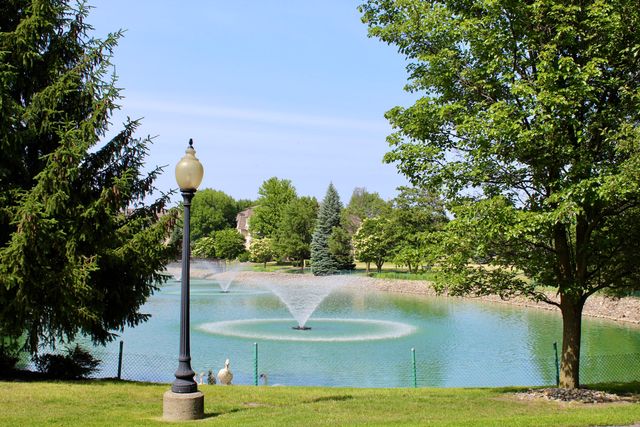 408 Swan Drive 2d, Dyer, IN 46311