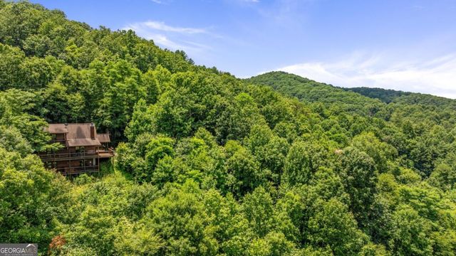 469 Mountain High Drive, Mineral Bluff, GA 30559