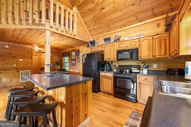 469 Mountain High Drive, Mineral Bluff, GA 30559