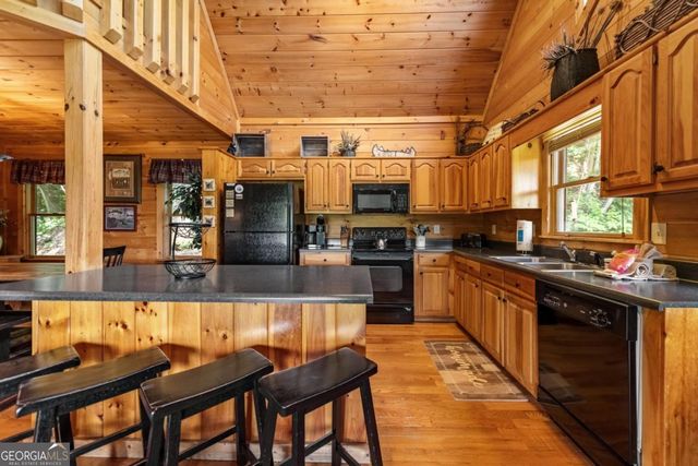 469 Mountain High Drive, Mineral Bluff, GA 30559