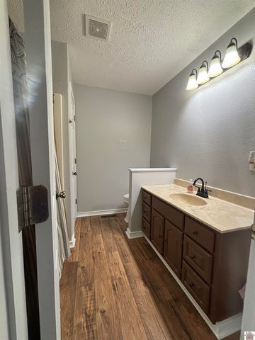 118 Stonecrest Dr, Almo, KY 42020