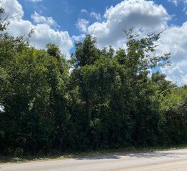TBD FM RD 920, Poolville, TX 76487