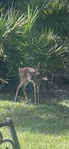 16 PRINCETON LANE, Palm Coast, FL 32164