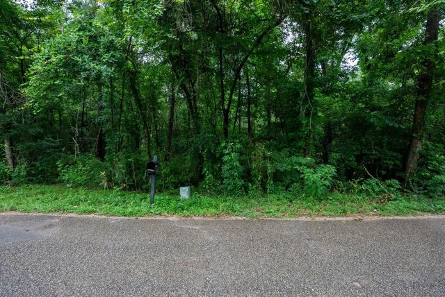 0000 Royal Springs Road, Conroe, TX 77303
