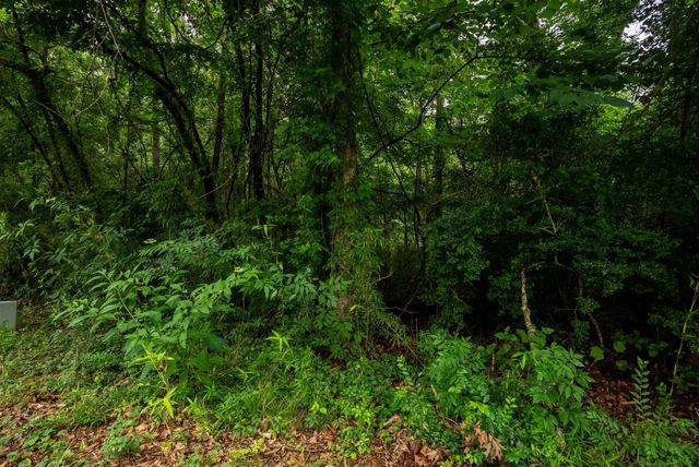 0000 Royal Springs Road, Conroe, TX 77303
