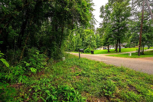 0000 Royal Springs Road, Conroe, TX 77303