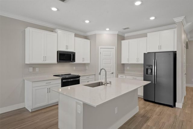 9707 WILD BEGONIA LOOP, Land O Lakes, FL 34637