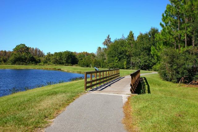 9707 WILD BEGONIA LOOP, Land O Lakes, FL 34637
