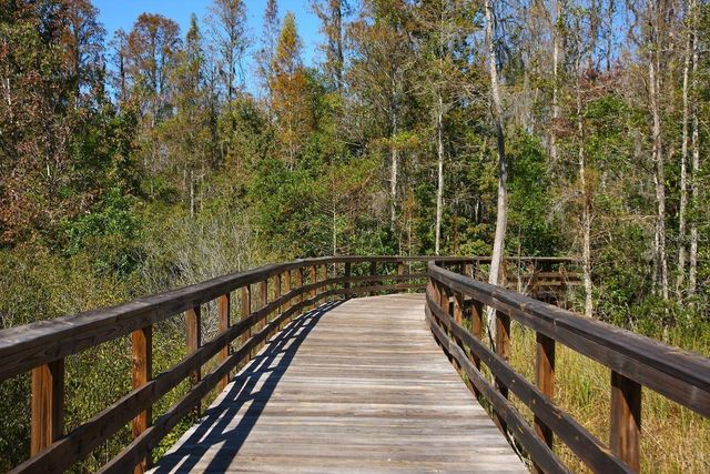 9707 WILD BEGONIA LOOP, Land O Lakes, FL 34637