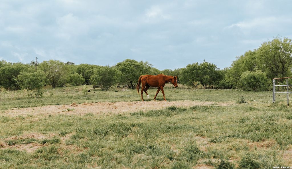 1065 fm 477, Seguin, TX 78155