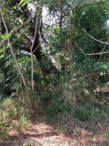 407 E Citico Street, Avon Park, FL 33825