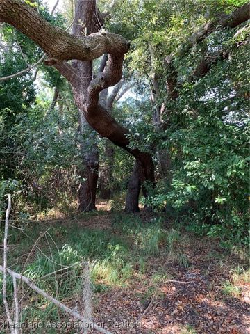 407 E Citico Street, Avon Park, FL 33825