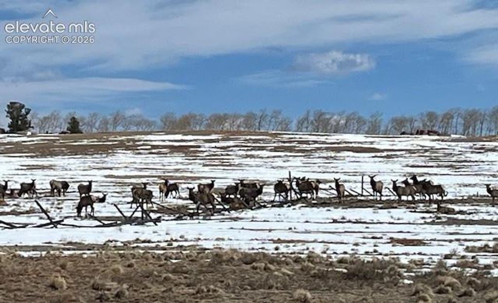 20400 Highway 285, Fairplay, CO 80440 — photo 3