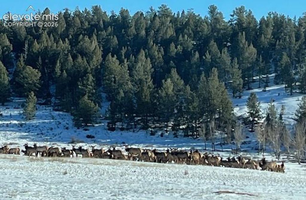 20400 Highway 285, Fairplay, CO 80440 — photo 4