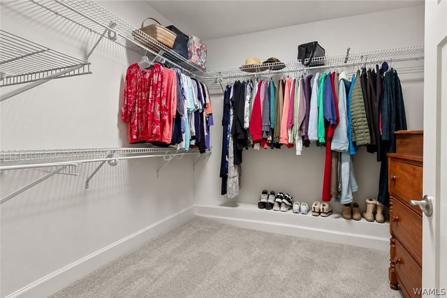 85 ARCADIA, Tuscaloosa, AL 35404