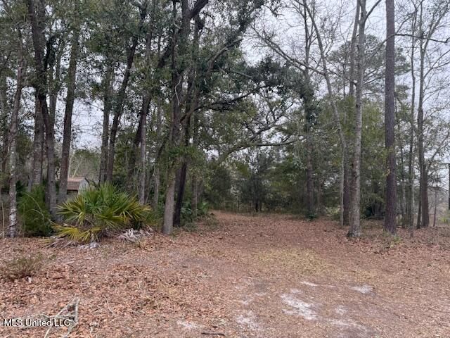 Robert Hiram Drive, Gautier, MS 39553