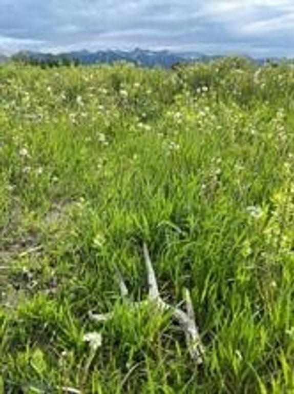 000 Elk Creek Road W, Wilsall, MT 59086 photo 10