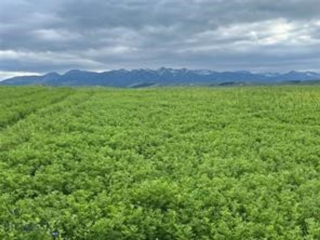 000 Elk Creek Road W, Wilsall, MT 59086 photo 7