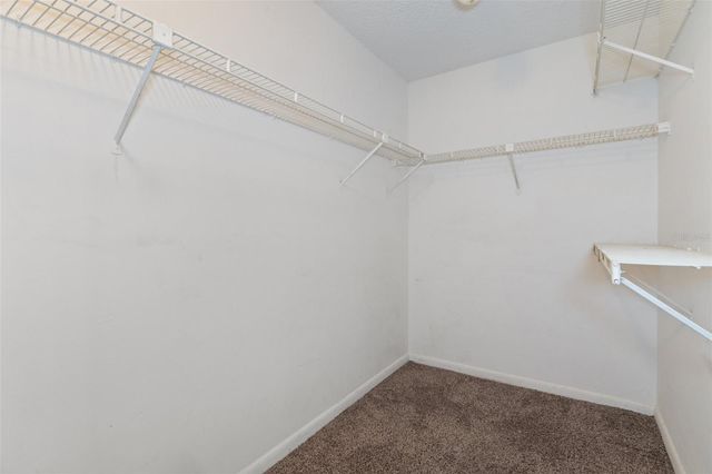 11315 N OLA AVENUE, Tampa, FL 33612