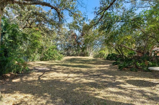 11315 N OLA AVENUE, Tampa, FL 33612