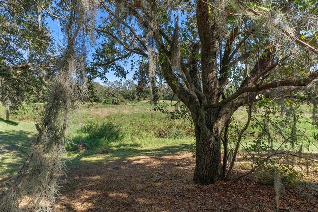 11315 N OLA AVENUE, Tampa, FL 33612