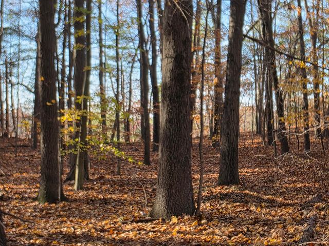 1694 Westview Drive 17, Allegan, MI 49010