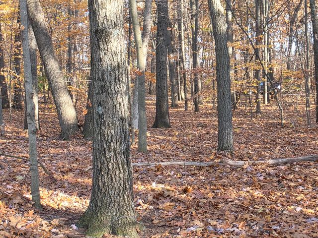 1694 Westview Drive 17, Allegan, MI 49010