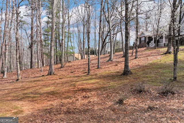579 Willows Drive, Cleveland, GA 30528