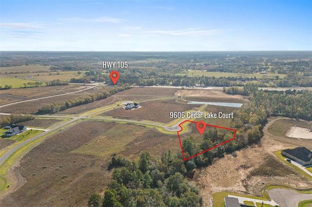 9606 Cedar Lake Court, Plantersville, TX 77363